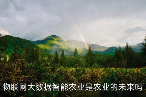 物聯(lián)網(wǎng)大數(shù)據(jù)智能農(nóng)業(yè)是農(nóng)業(yè)的未來嗎