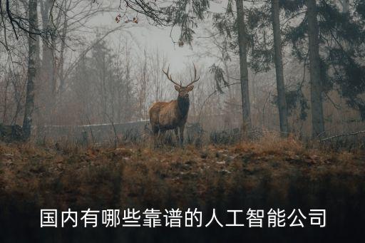 國內(nèi)有哪些靠譜的人工智能公司