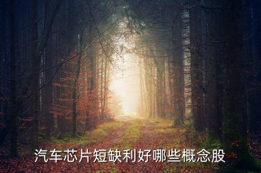 汽車芯片短缺利好哪些概念股