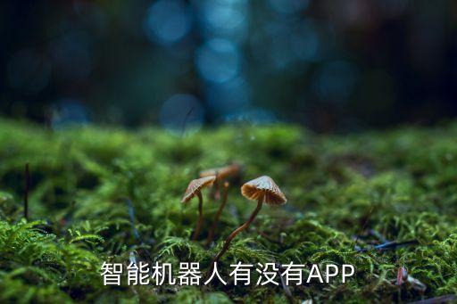 智能機器人有沒有APP