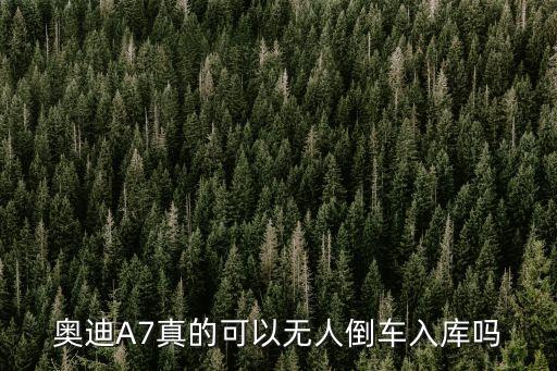 奧迪A7真的可以無人倒車入庫嗎