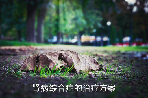 腎病綜合癥的治療方案