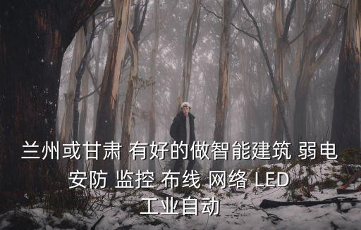 蘭州或甘肅 有好的做智能建筑 弱電 安防 監(jiān)控 布線 網(wǎng)絡(luò) LED 工業(yè)自動