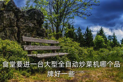 食堂要進一臺大型全自動炒菜機哪個品牌好一些
