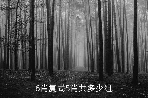 6肖復(fù)式5肖共多少組