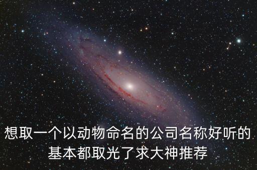 想取一個(gè)以動(dòng)物命名的公司名稱好聽的基本都取光了求大神推薦