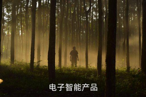 電子智能產(chǎn)品