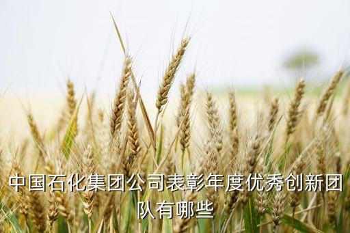 中國(guó)高質(zhì)量發(fā)展科技創(chuàng)新先進(jìn)單位，我國(guó)高科技自主創(chuàng)新品牌的代表有哪些企業(yè)它們的發(fā)展前景如何
