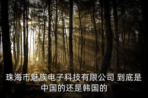 魅視電子科技公司，廣州魅視電子科技有限公司怎么樣