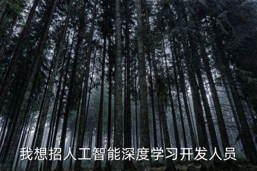 我想招人工智能深度學(xué)習(xí)開發(fā)人員