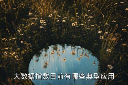 大數(shù)據(jù)指數(shù)目前有哪些典型應(yīng)用