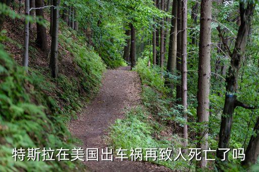特斯拉自動(dòng)駕駛死亡率多少，特斯拉車的壽命多少公里