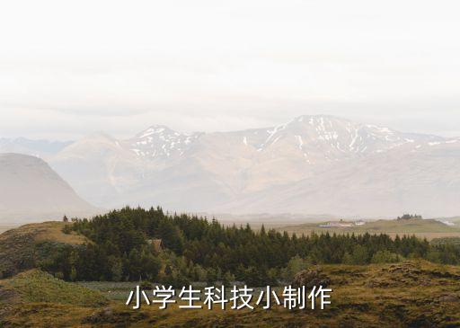 小學(xué)生科技小制作