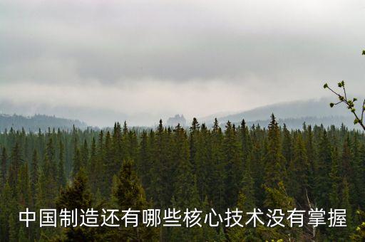 中國制造還有哪些核心技術沒有掌握