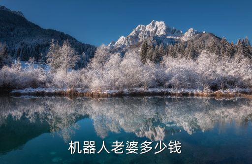 機(jī)器人老婆多少錢