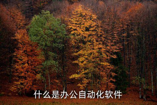 什么是辦公自動(dòng)化軟件