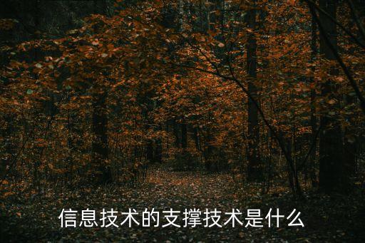 信息技術(shù)的支撐技術(shù)是啥，信息技術(shù)的支撐技術(shù)是什么