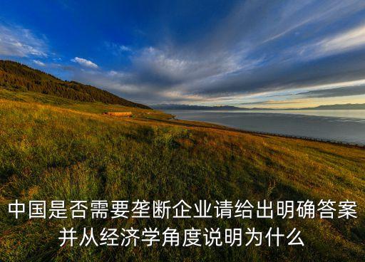 中國是否需要壟斷企業(yè)請給出明確答案并從經(jīng)濟(jì)學(xué)角度說明為什么
