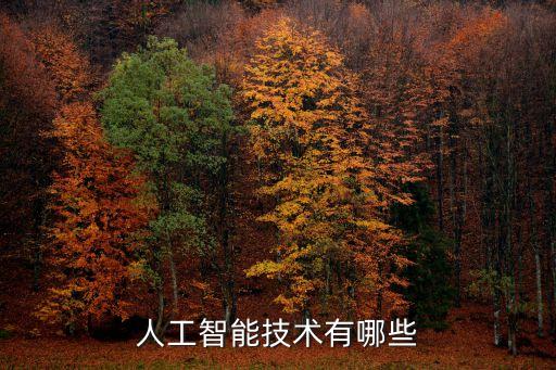 智能技術包括雨課堂嗎，人工智能技術有哪些