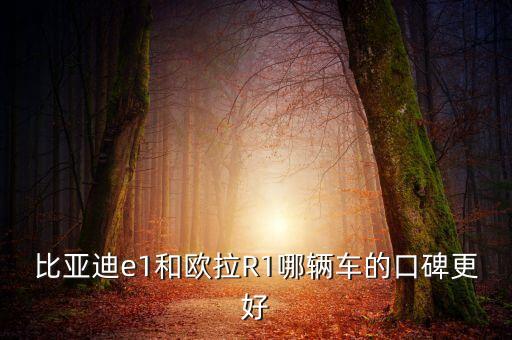 比亞迪e1和歐拉R1哪輛車的口碑更好