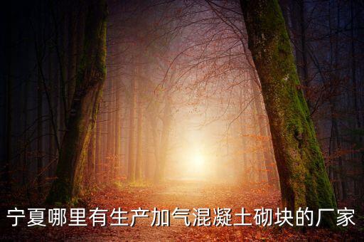 寧夏哪里有生產(chǎn)加氣混凝土砌塊的廠家