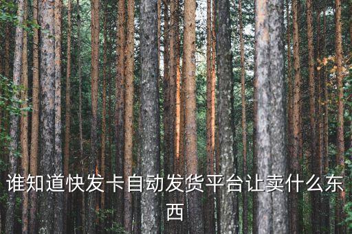 誰知道快發(fā)卡自動發(fā)貨平臺讓賣什么東西