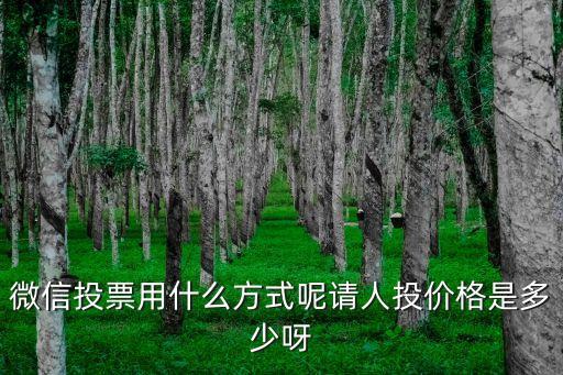 微信投票用什么方式呢請人投價格是多少呀