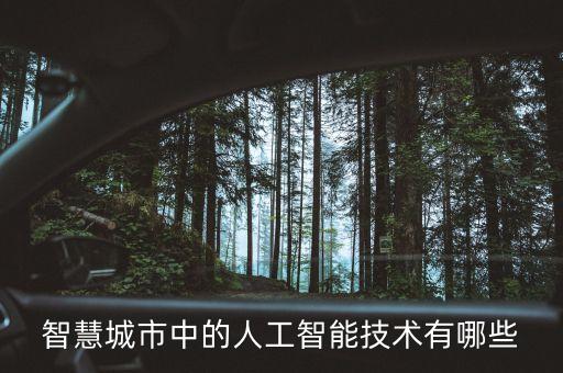 智慧城市中的人工智能技術(shù)有哪些