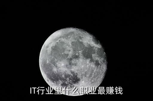IT行業(yè)里什么職業(yè)最賺錢