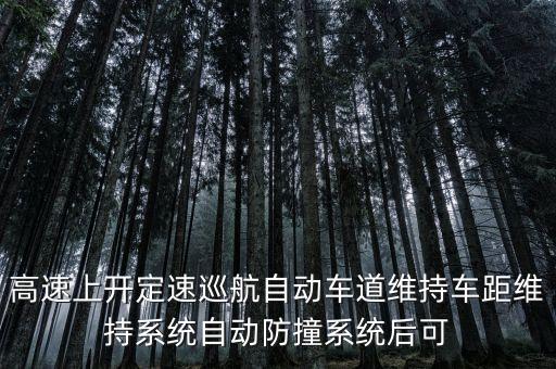 高速上開(kāi)定速巡航自動(dòng)車道維持車距維持系統(tǒng)自動(dòng)防撞系統(tǒng)后可