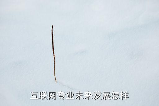 互聯(lián)網(wǎng)專業(yè)未來發(fā)展怎樣
