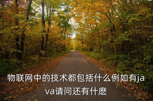 物聯(lián)網(wǎng)技術(shù)包括哪些技術(shù)，物聯(lián)網(wǎng)中的技術(shù)都包括什么例如有java請(qǐng)問(wèn)還有什麼