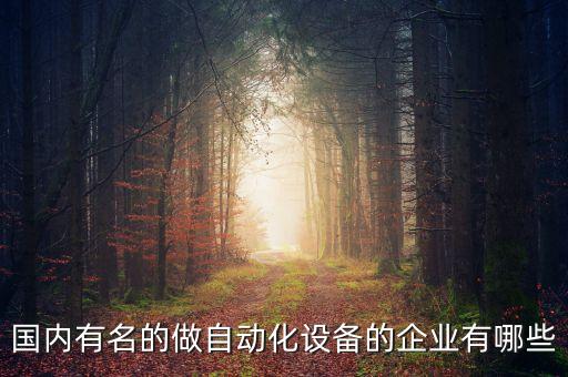 國(guó)內(nèi)有名的做自動(dòng)化設(shè)備的企業(yè)有哪些