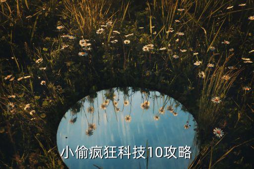 小偷瘋狂科技10攻略