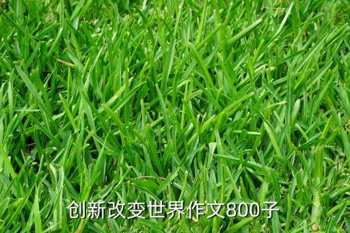 創(chuàng)新與發(fā)展作文800字，以創(chuàng)新引領(lǐng)發(fā)展開放保障繁榮的作文