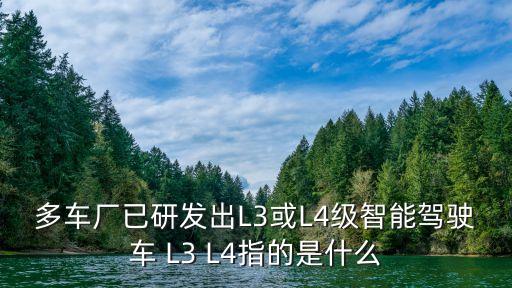 多車廠已研發(fā)出L3或L4級智能駕駛車 L3 L4指的是什么