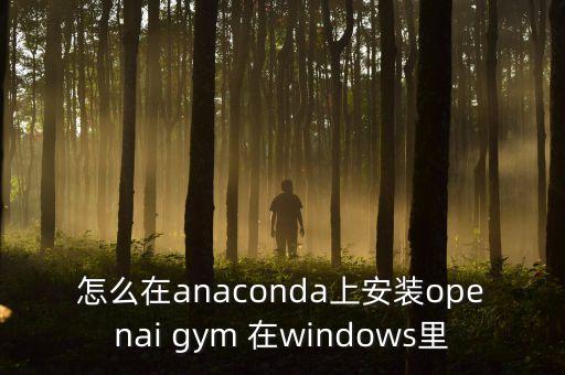 怎么在anaconda上安裝openai gym 在windows里