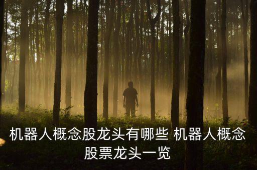 機(jī)器人概念股龍頭有哪些 機(jī)器人概念股票龍頭一覽