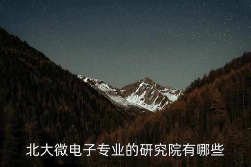 北大微電子專業(yè)的研究院有哪些