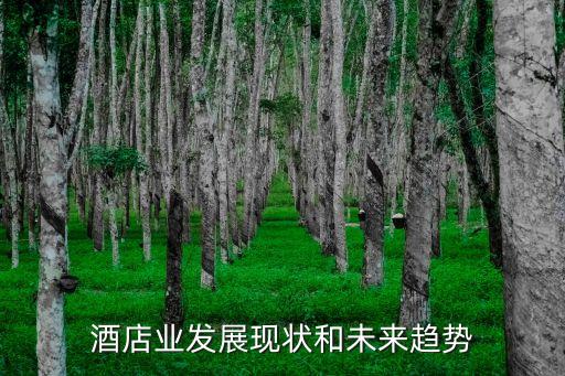 2022酒店行業(yè)的現(xiàn)狀分析，酒店行業(yè)十二五發(fā)展規(guī)劃及行業(yè)深度評估報(bào)告