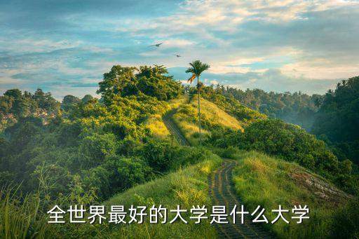全球最好的大學(xué)，世界上最好的大學(xué)