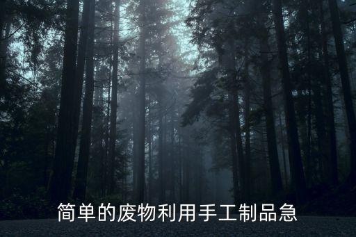 簡(jiǎn)單的廢物利用手工制品急