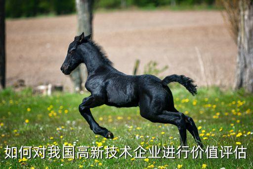 中國高科合理估值，我以805買入的股票中國高科賣出時是815可最后我還是賠了