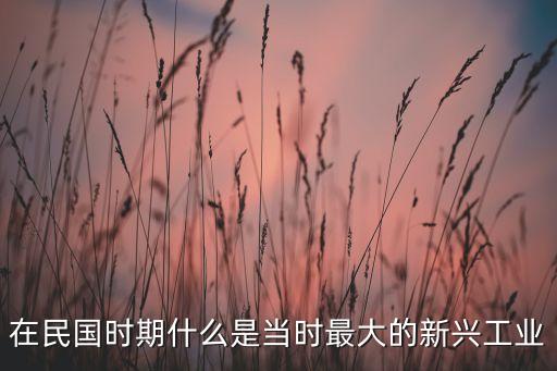 在民國(guó)時(shí)期什么是當(dāng)時(shí)最大的新興工業(yè)