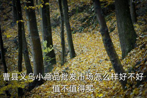 曹縣義烏小商品批發(fā)市場(chǎng)怎么樣好不好值不值得買(mǎi)