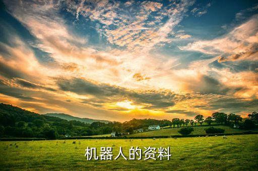 人工智能機器人產品介紹，人工智能機器人電腦版的介紹