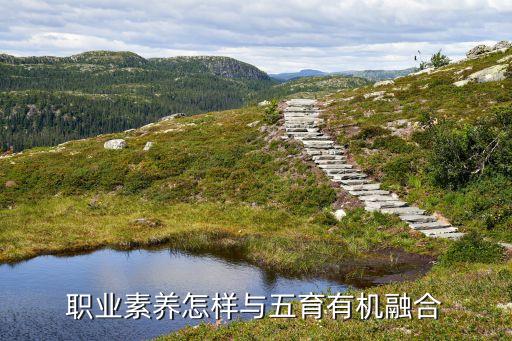 職業(yè)素養(yǎng)怎樣與五育有機(jī)融合