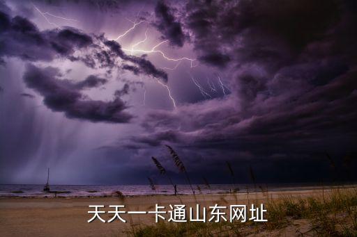 天天一卡通山東網(wǎng)址