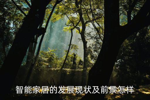 智能家居的發(fā)展現(xiàn)狀及前景怎樣