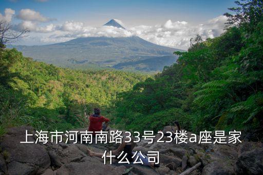 上海市河南南路33號23樓a座是家什么公司